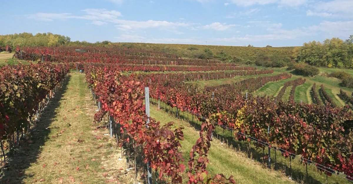 ALIB_IMG-20181013-WA000015