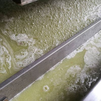 baynach_RIV_IMG-20180824-WA000201