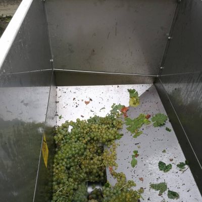 baynach_RIV_IMG-20180824-WA000207