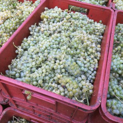 baynach_RIV_IMG-20180824-WA000208