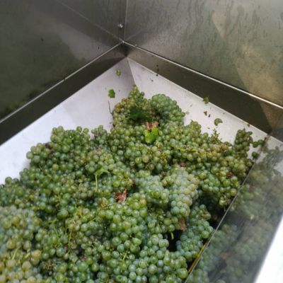 baynach_SVG_IMG-20180830-WA000008