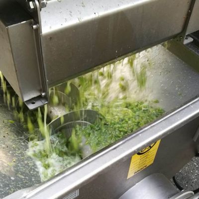 baynach_SVG_IMG-20180830-WA000010