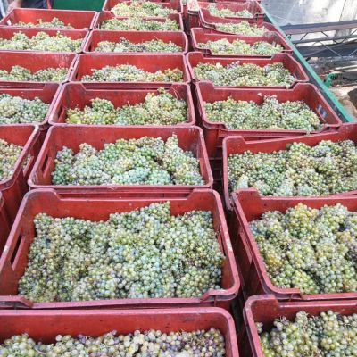 baynach_VZ_IMG-20180907-WA000006