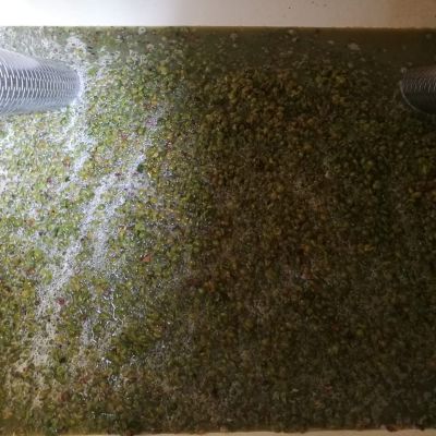 baynach_VZ_IMG-20180907-WA000009