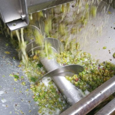 baynach_VZ_IMG-20180907-WA000010