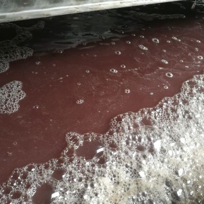 baynach_ZWR_IMG-20180917-WA000004