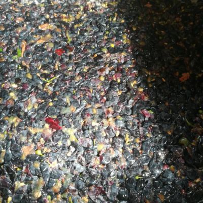 baynach_ZWR_IMG-20180917-WA000006