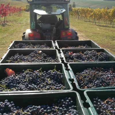 baynach_ALIB_IMG-20181013-WA000012