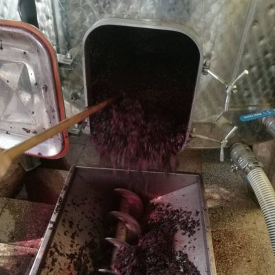 baynach_FM-LIS_IMG-20181010-WA000003